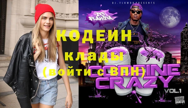 прущие крисы Бородино