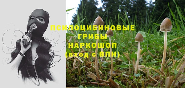 прущие крисы Бородино
