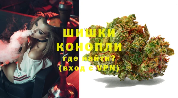 прущие крисы Бородино