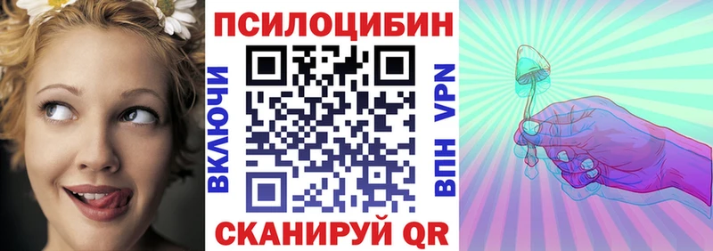 закладки  kraken ССЫЛКА  Псилоцибиновые грибы Magic Shrooms  Палласовка 