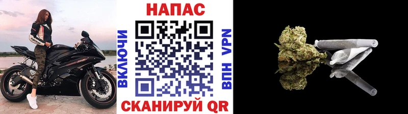 Шишки марихуана семена  Палласовка 
